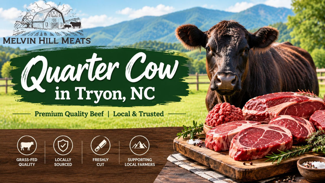 Quarter Cow in Tryon, NC
