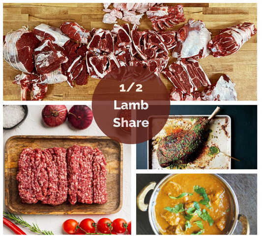lamb on butcher table with ground lamb, roasted leg of lamb, and lamb curry